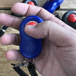 Ring Clicker