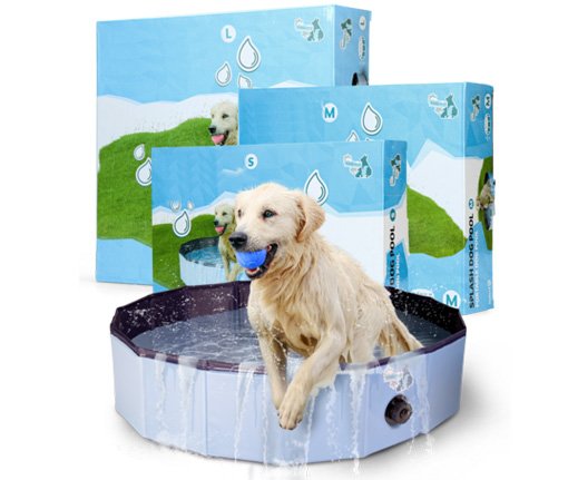 Harmonisch diepvries Betsy Trotwood Hondenzwembad de luxe voor verkoeling, plezier én puppy zwemles :-)