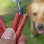 honden vuurwerk pakket