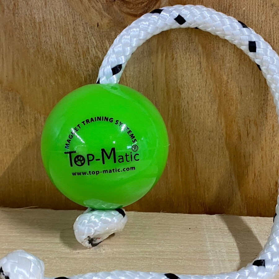 Top Matic fun ball mini puppy hard groen