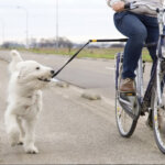 honden fietsstang