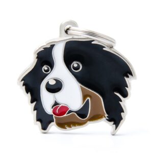 hondenpenning Berner Sennenhond