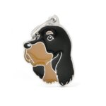 hondenpenning Gordon Setter