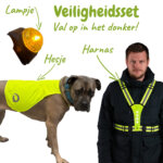 veiligheidsset