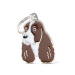 Engelse Springer Spaniel bruin wit