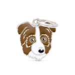 red australian shepherd hondenpenning