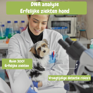 DNA analyse erfelijke ziekten hond