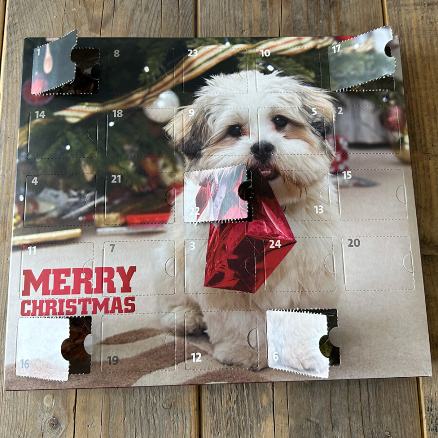 advent kalender honden