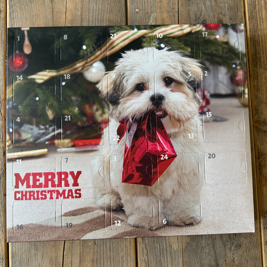 advents kalender hond