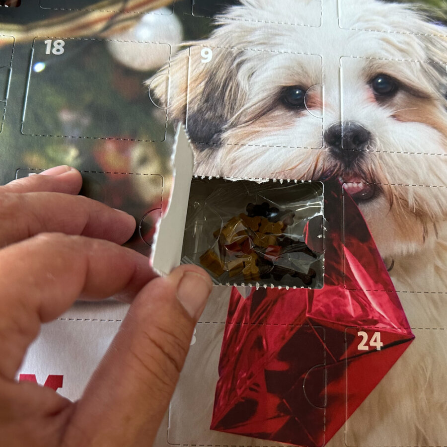 adventskalender hond