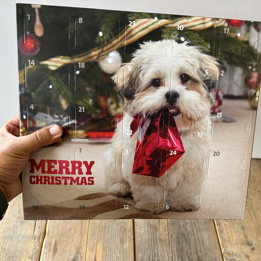 adventskalender honden