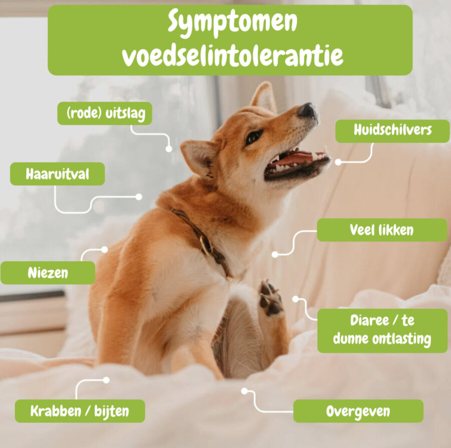 voedselintollerantie symptomen