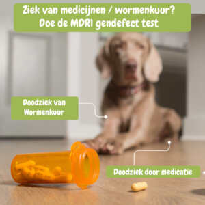 MDR1 gendefect test hond