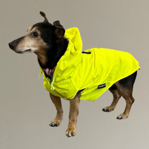 regenjasjes hond